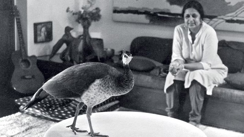 How to build a family home