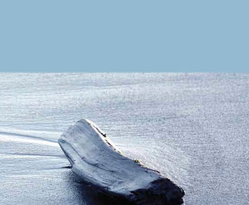 Crossing Black Waters by Athena Kashyap